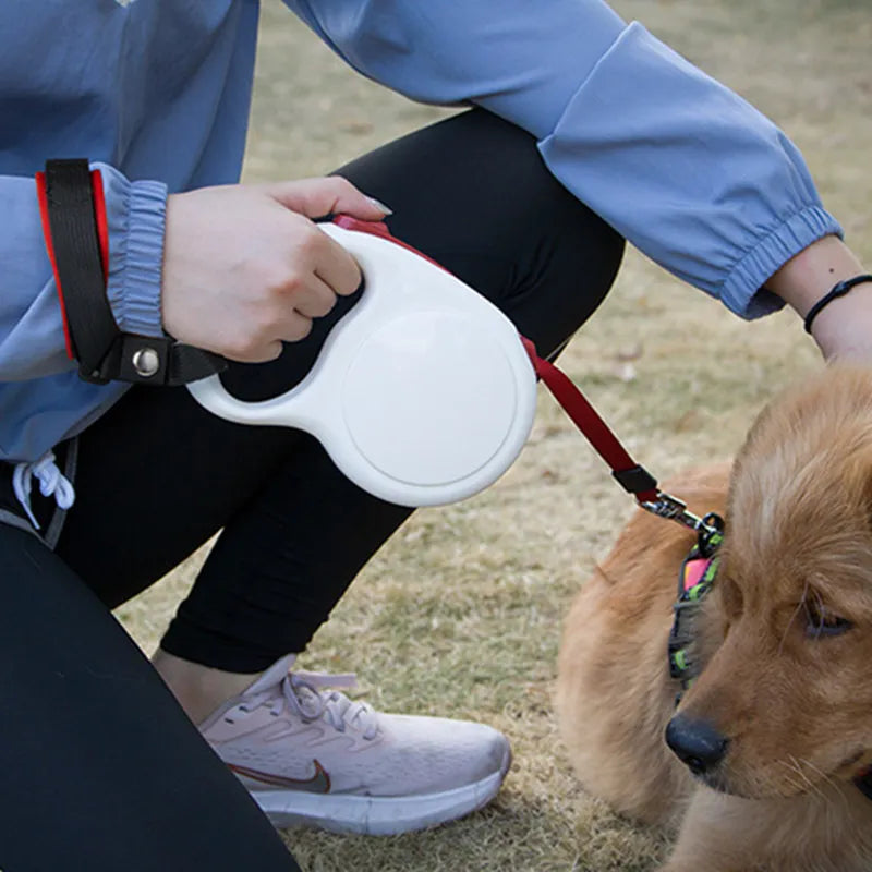 Dog Leash Hands Free