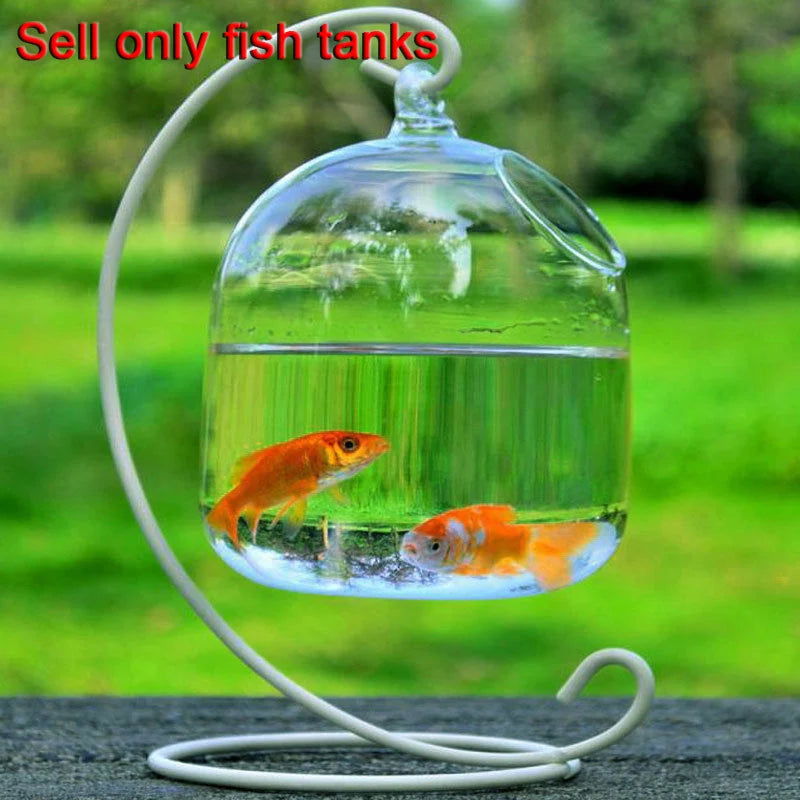 Glass Vases Fishbowl