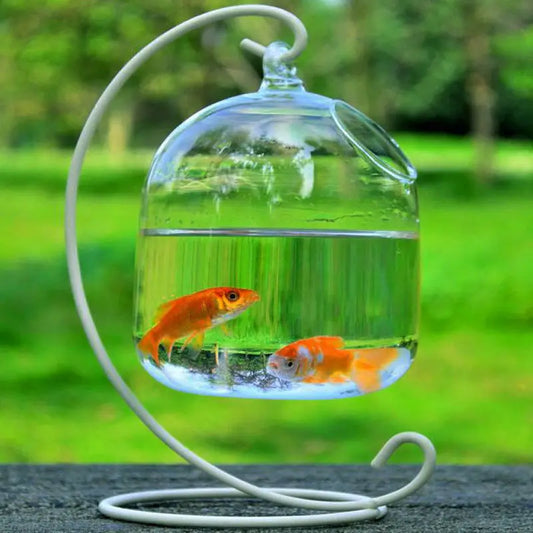 Glass Vases Fishbowl