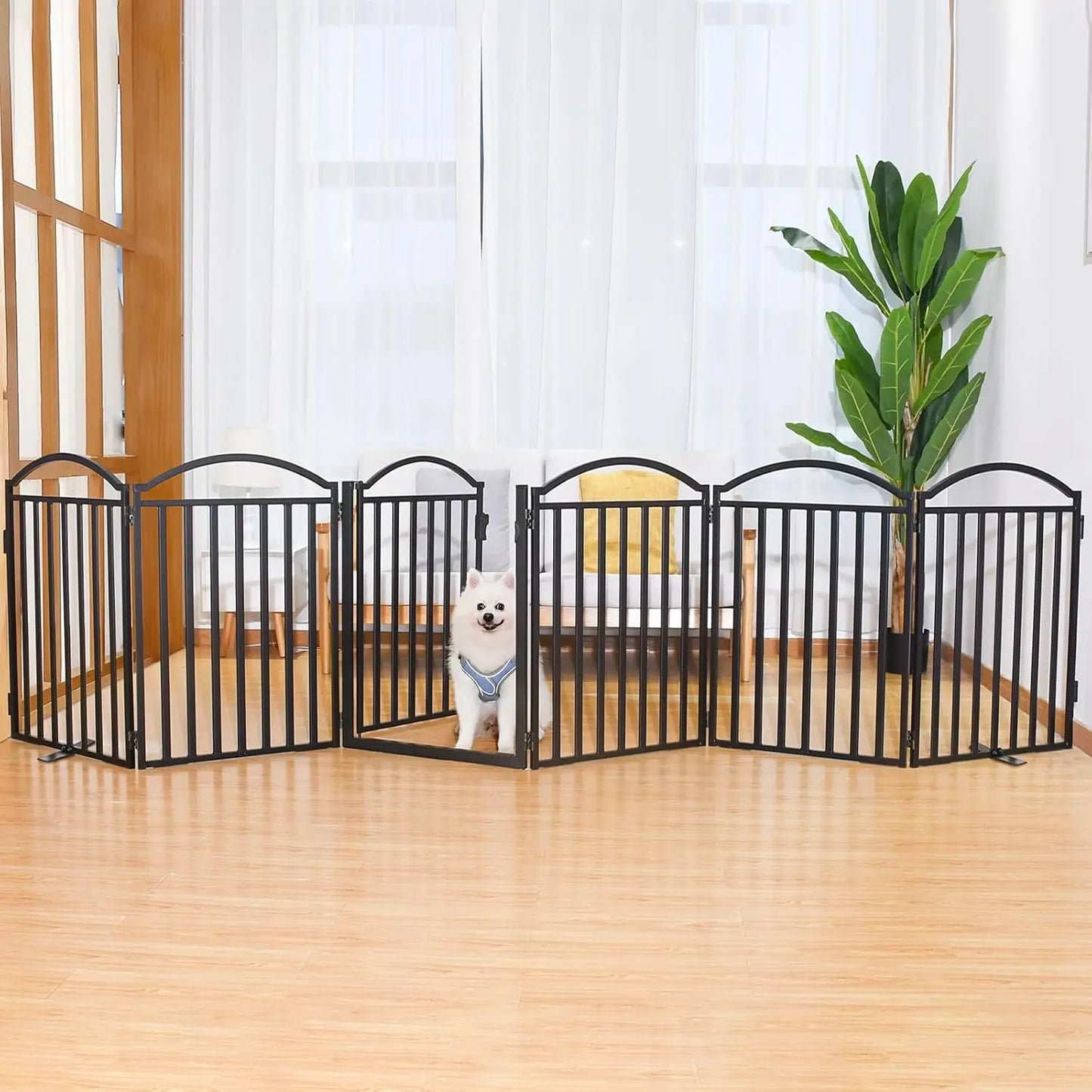 Freestanding Dog Gates