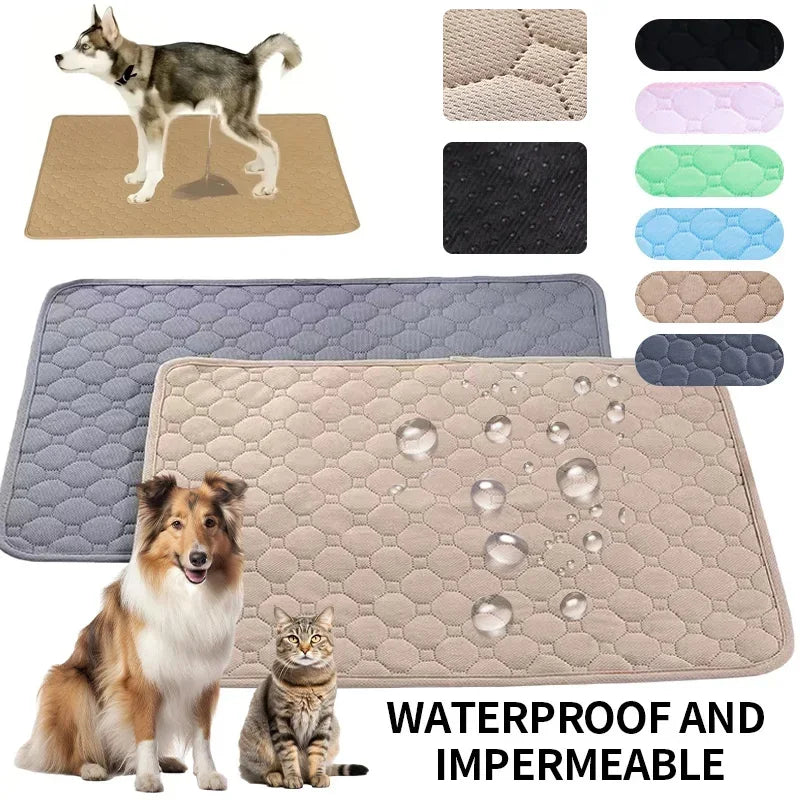 Anti Slip Pet Pee Pad