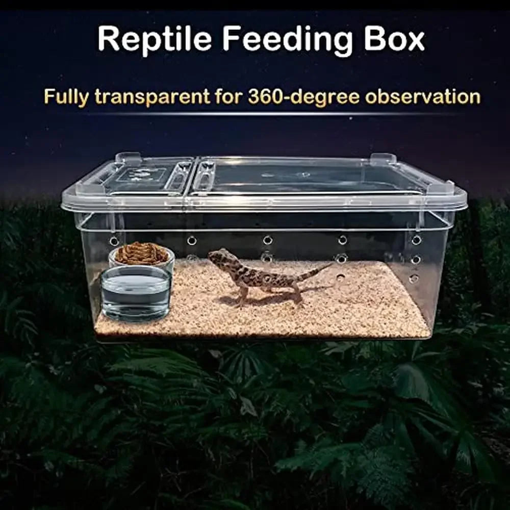 Reptile Feeding Box Plastic