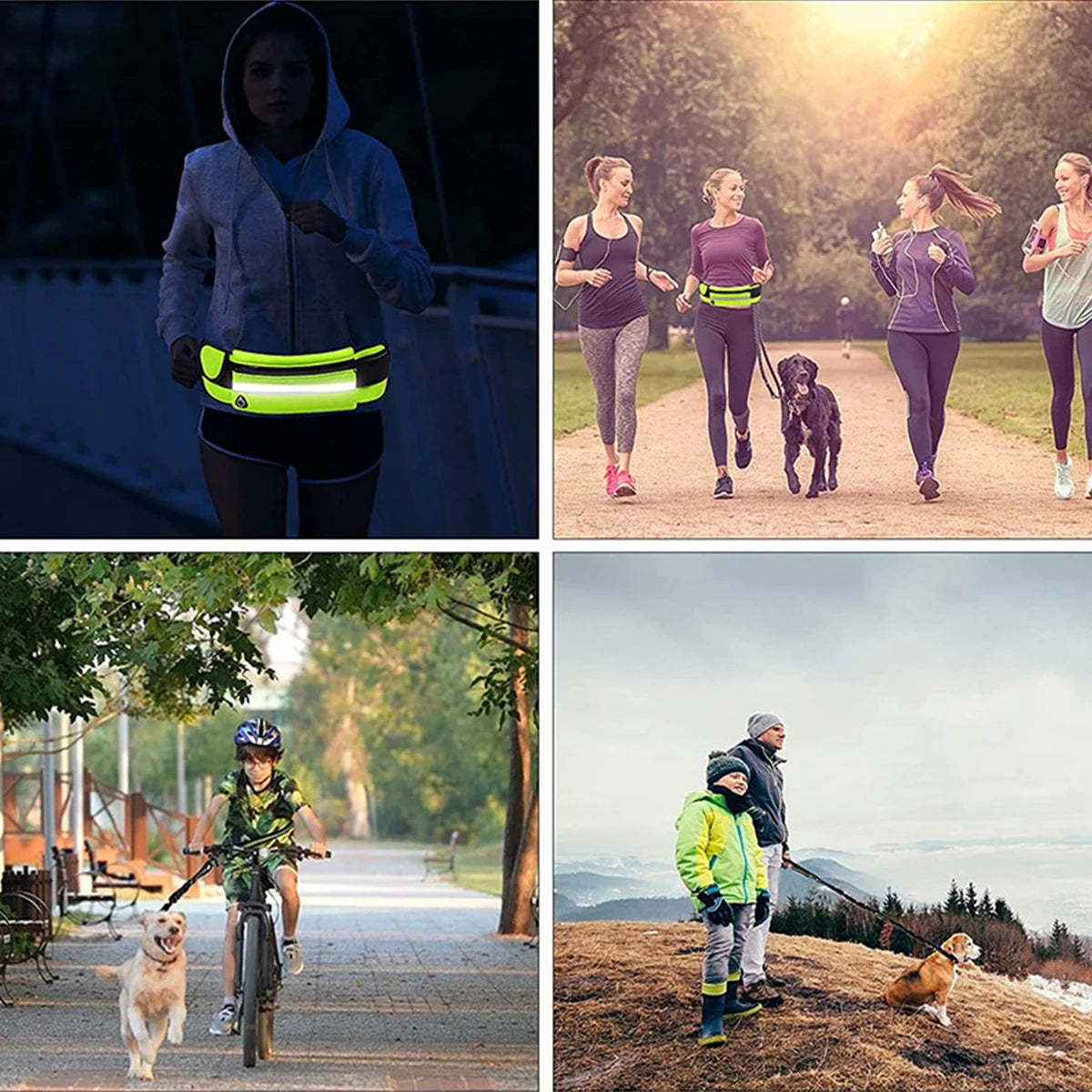 Hands Free Dog Leash for Running