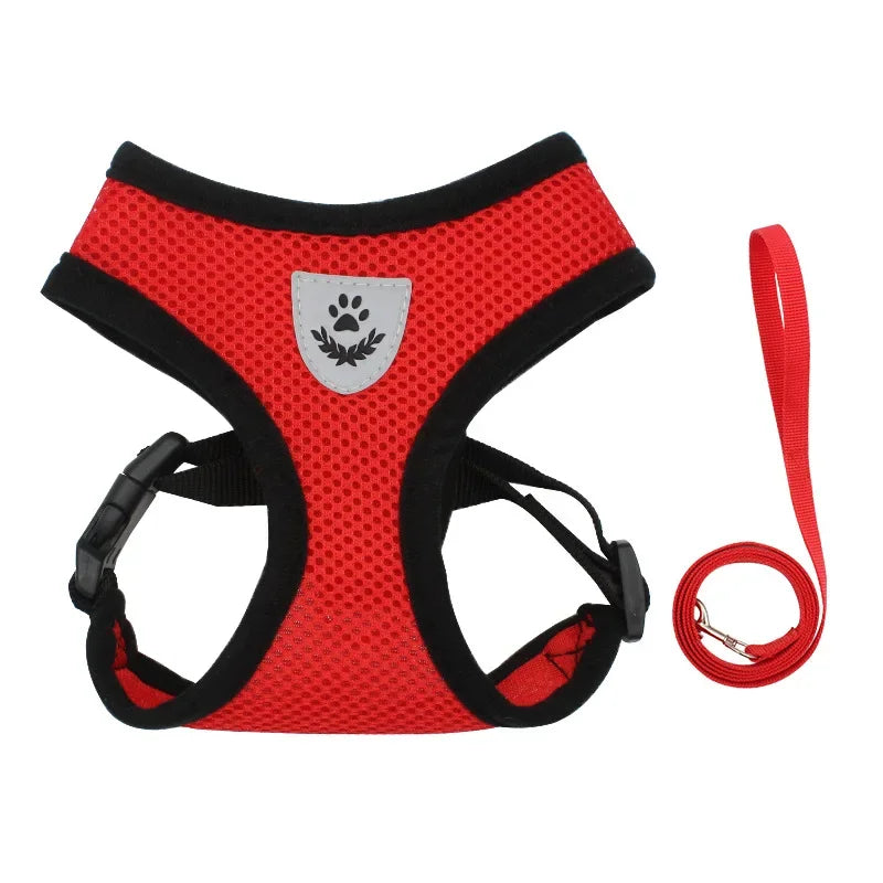 Summer Cat Dog Harness Lead