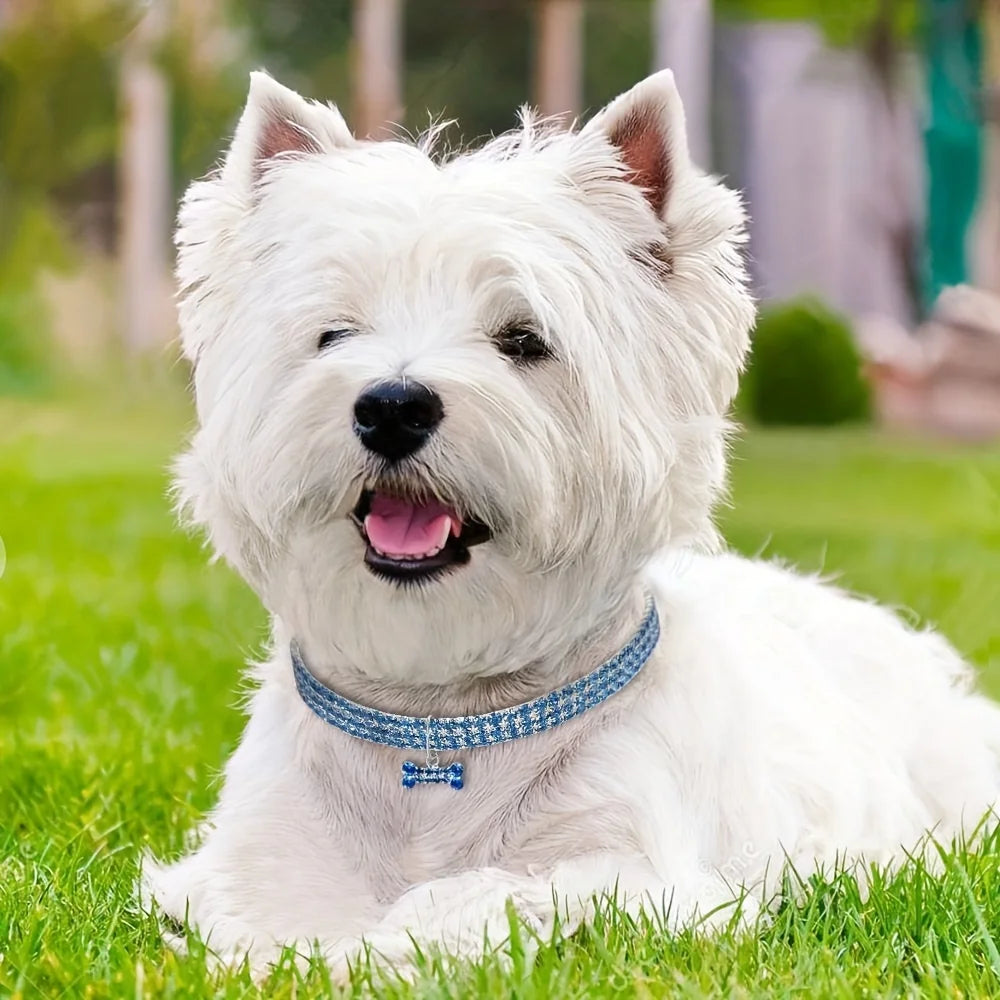 Pet Collar-Adjustable Necklace