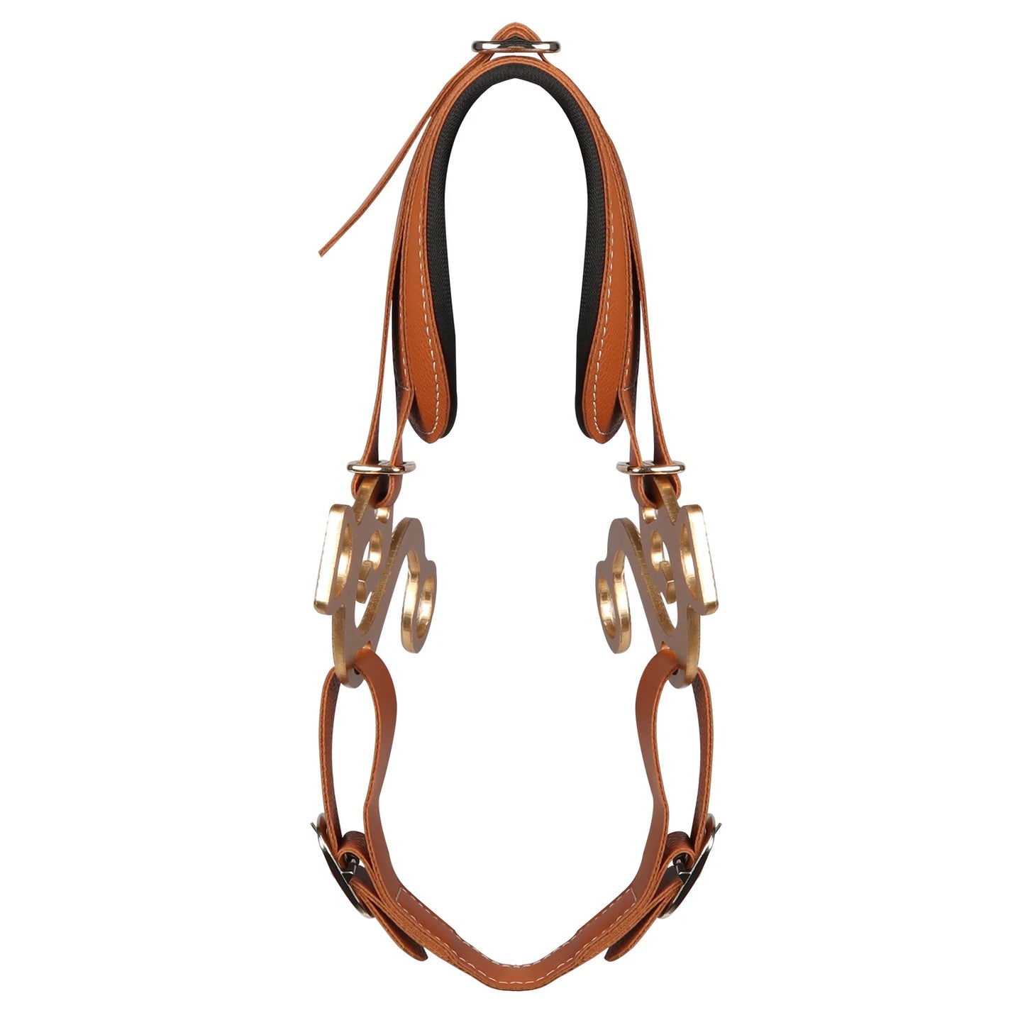 Horse Bit Brown Bridle Leather