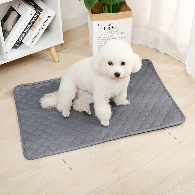 Washable Puppy Training Pad