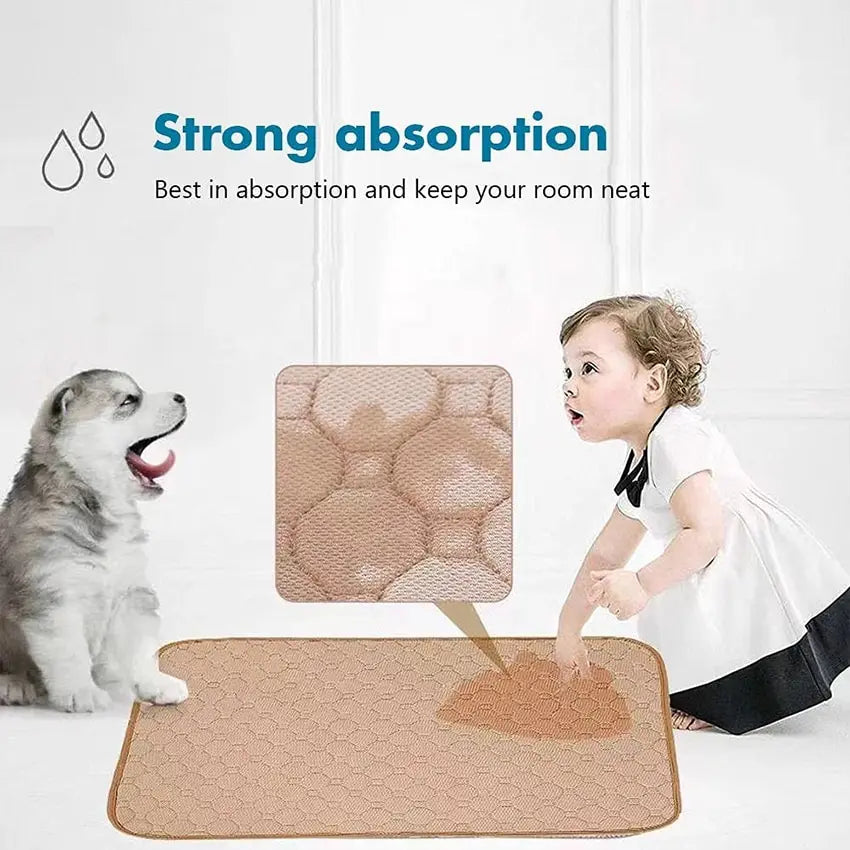 Dog Training Pad