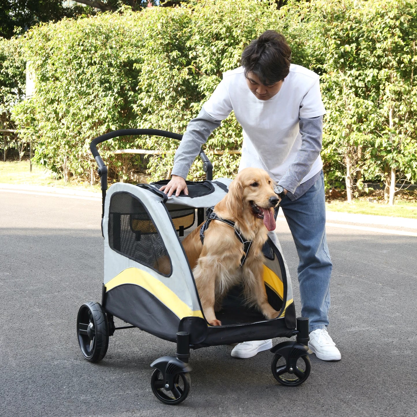 Foldable Cart Travel Trolley