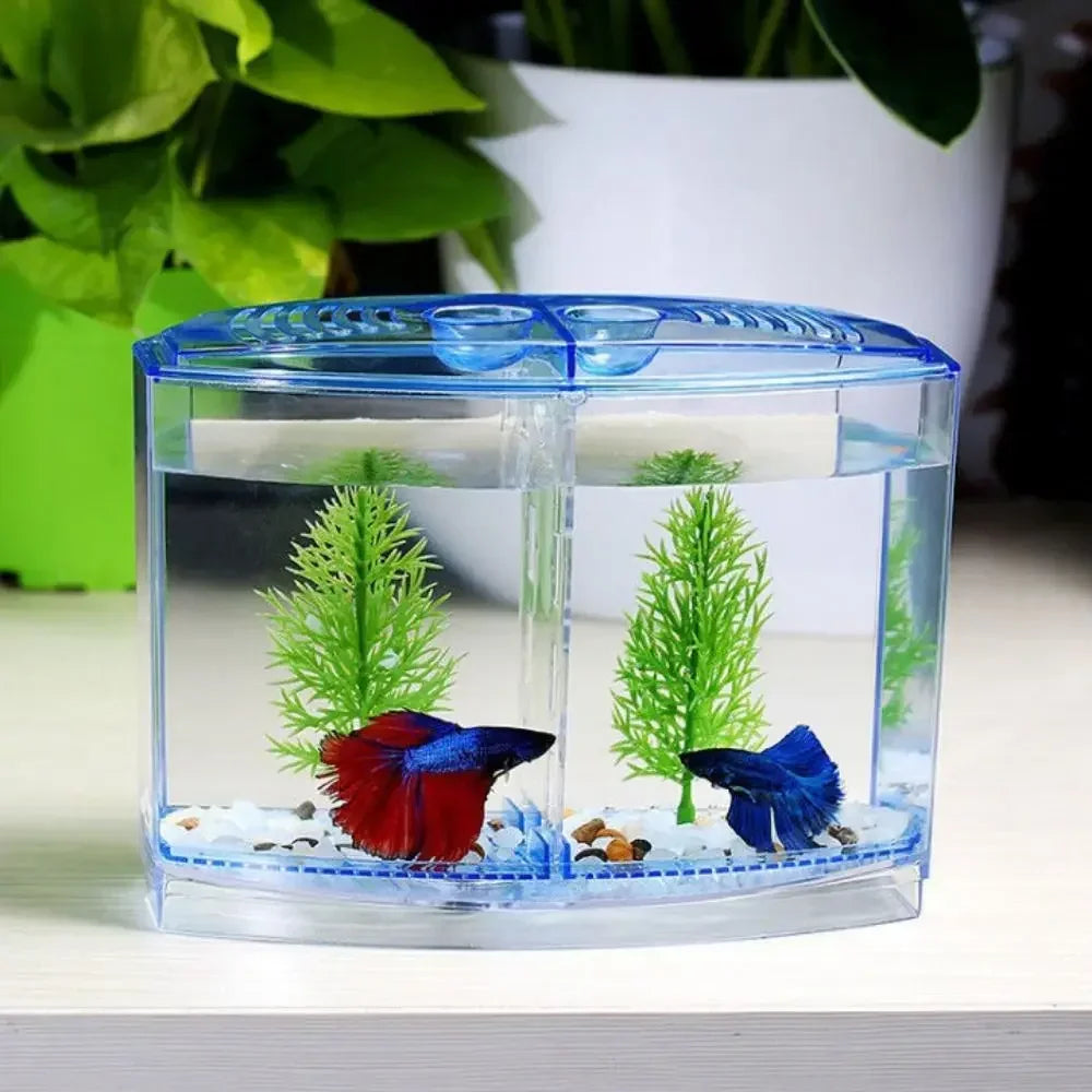 Transparent Betta Fish Tank