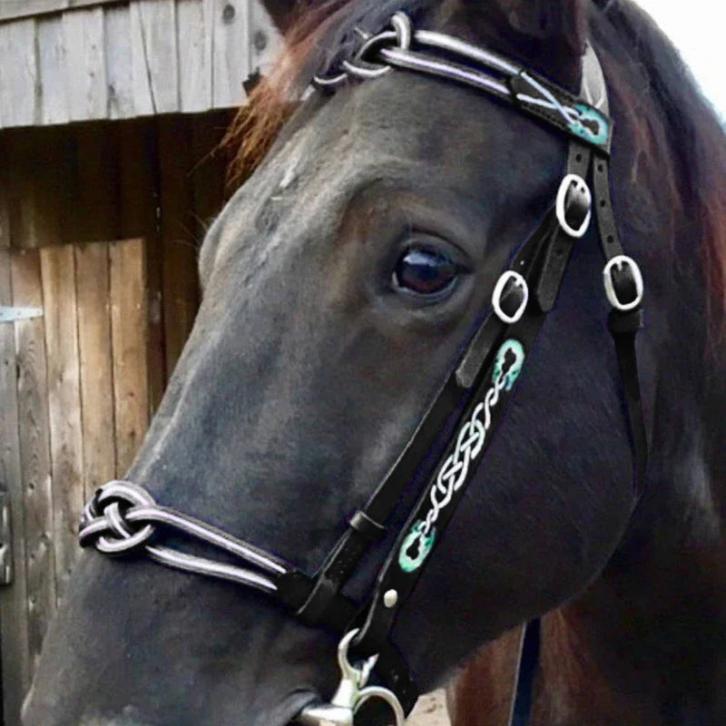 Horse Halters and Lead Ropes