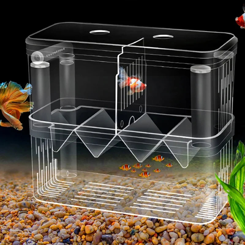 Double-Deck Clear Fish Breeding Isolation Box