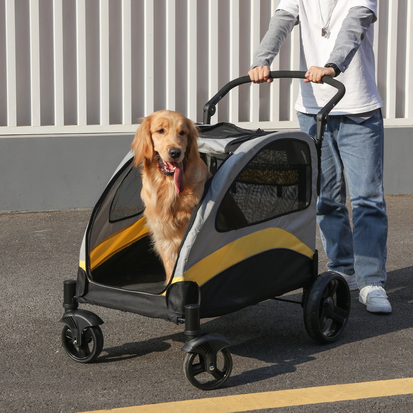 Foldable Cart Travel Trolley