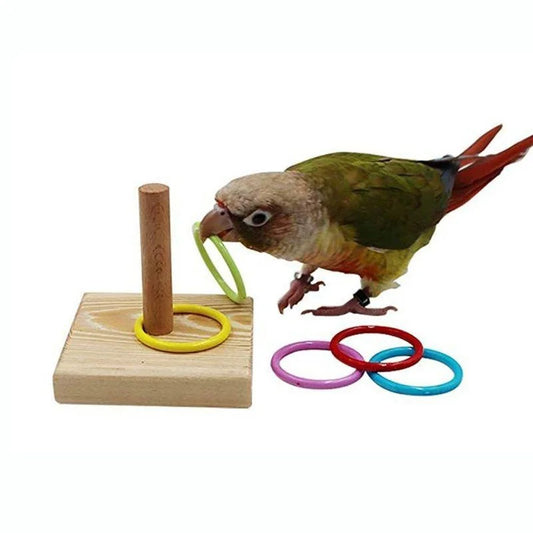 Bird Training Ring Toy