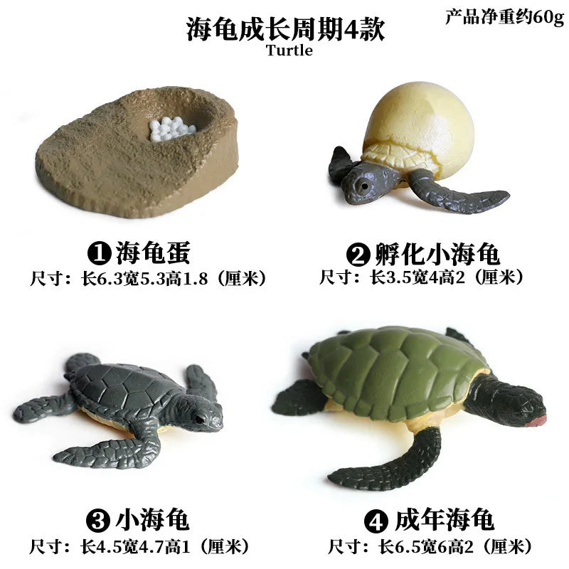 Simulation Marine Animals Ornaments