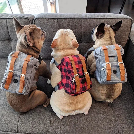 Dog Travel Backpack Harness