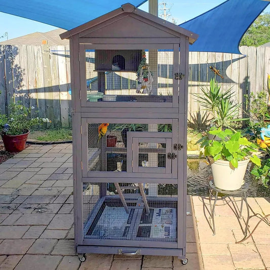 Bird Cage Outdoor