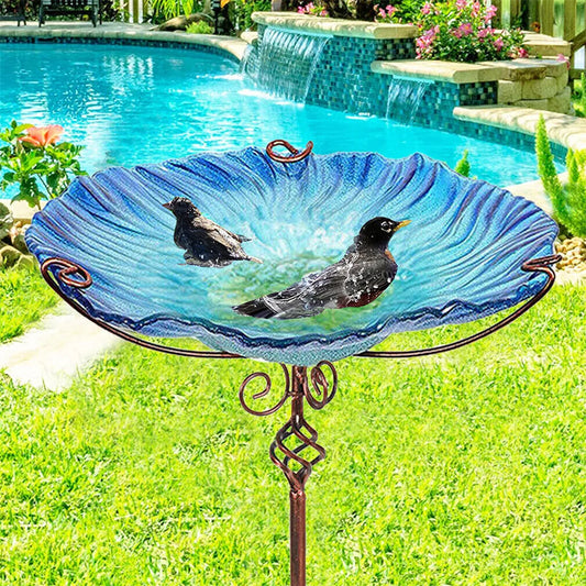 Bird Bath Outdoor