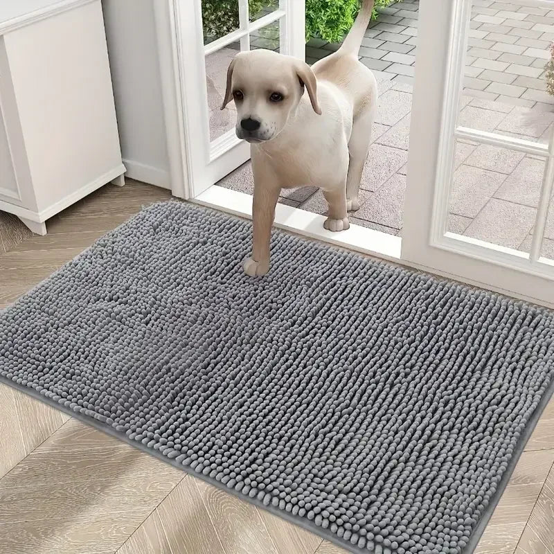 Indoor Door Mat Entryway Rug,