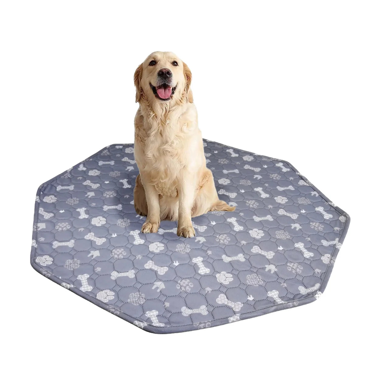 Pet Sleep Play Bed Mat