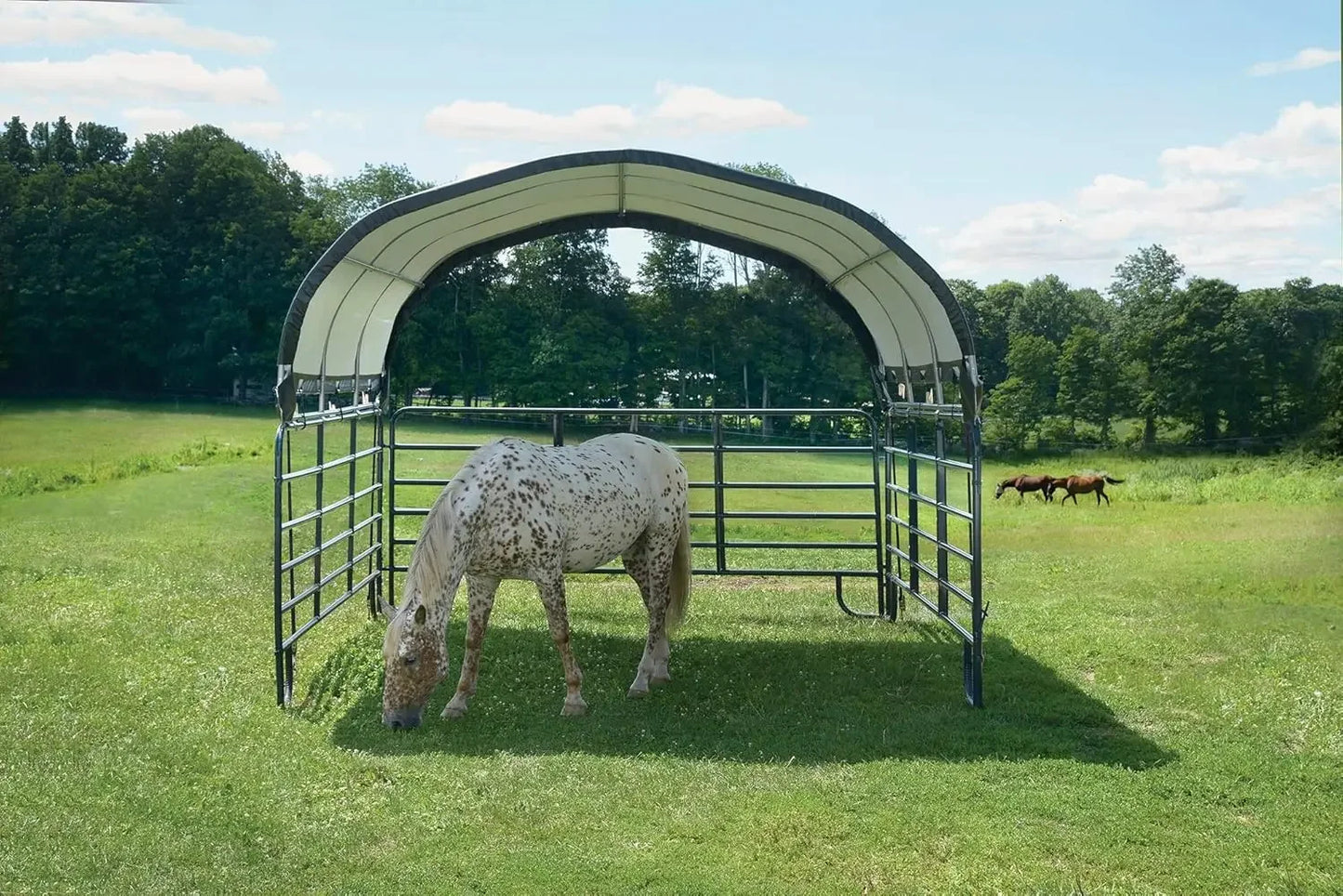 Corral Shelter and Livestock Shade