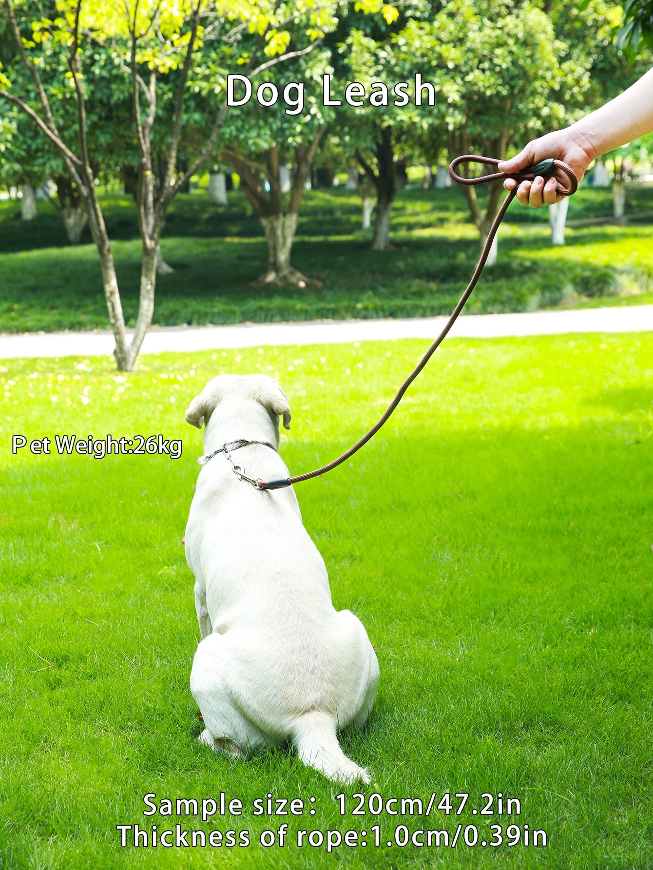 Durable Reflective Heavy Duty Dog Leash