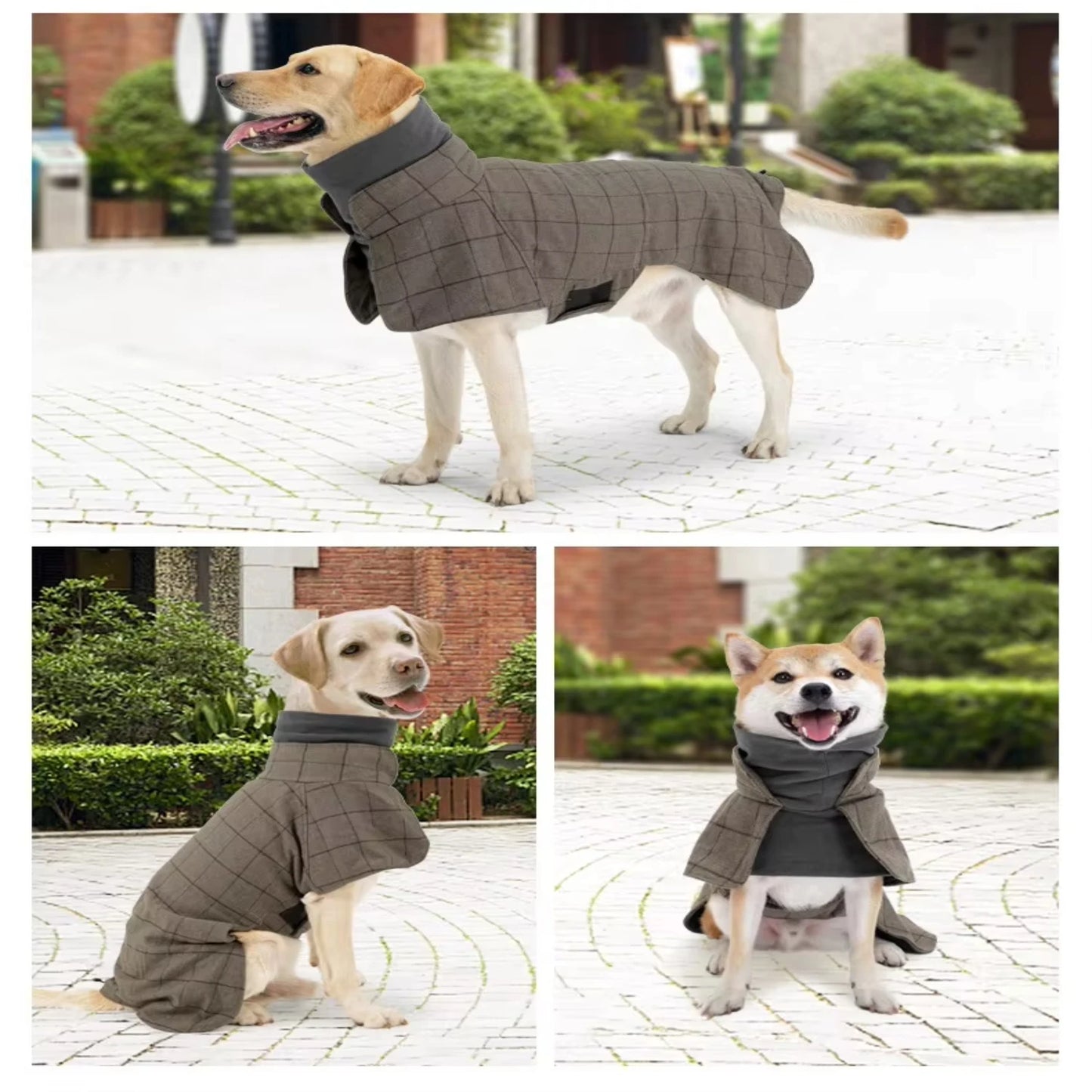 pet dog suit vest