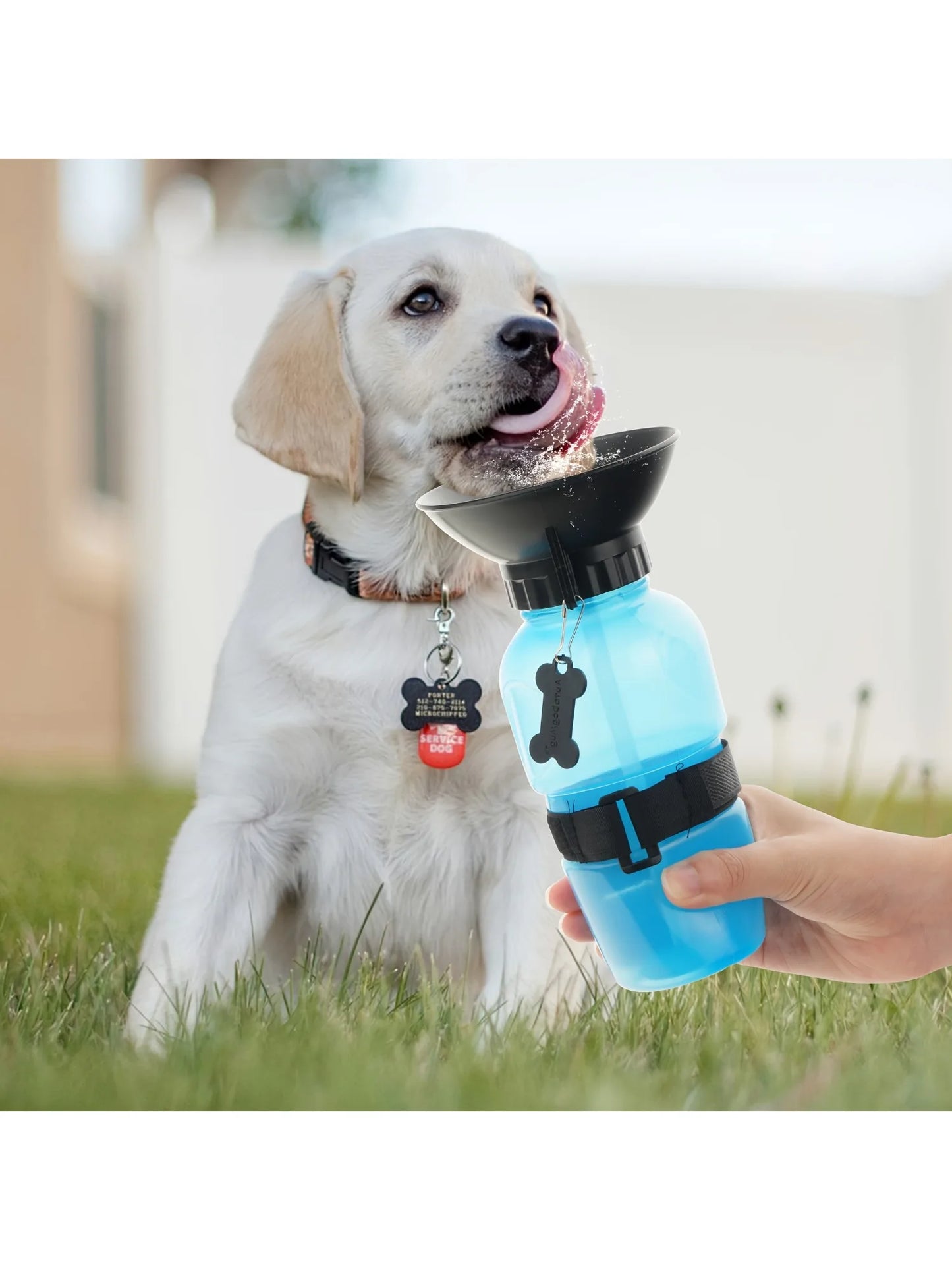 Dog Water Bottle,