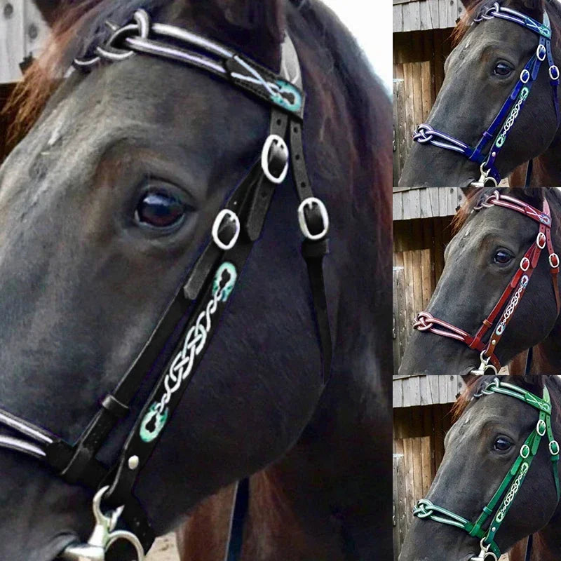 Horse Halters and Lead Ropes