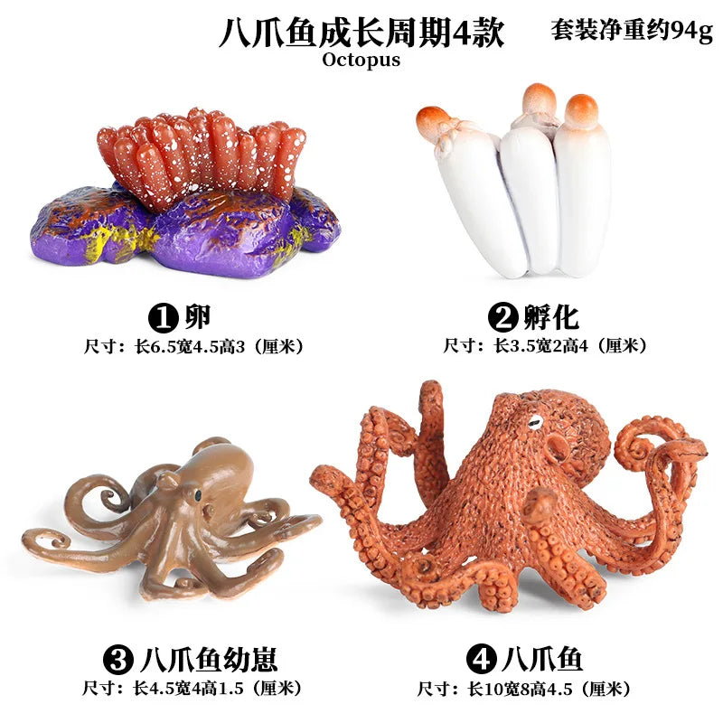 Simulation Marine Animals Ornaments