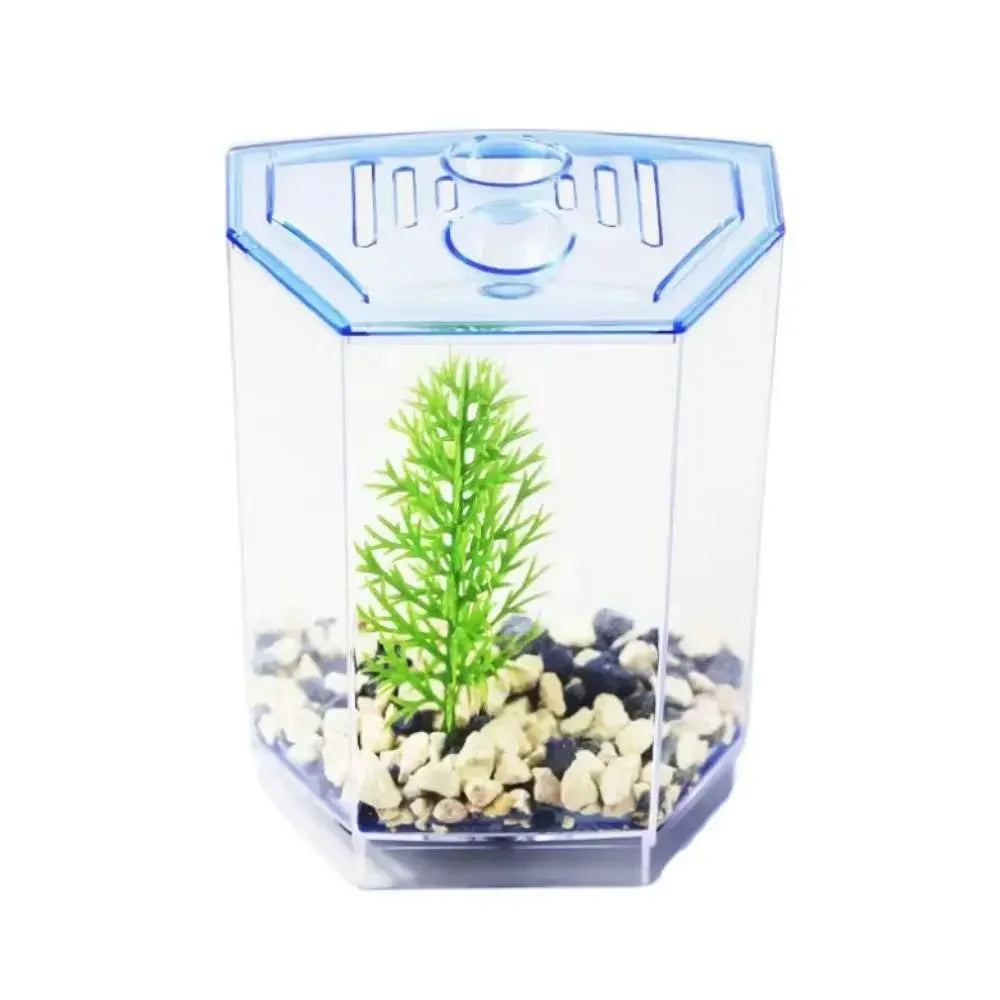 Transparent Betta Fish Tank