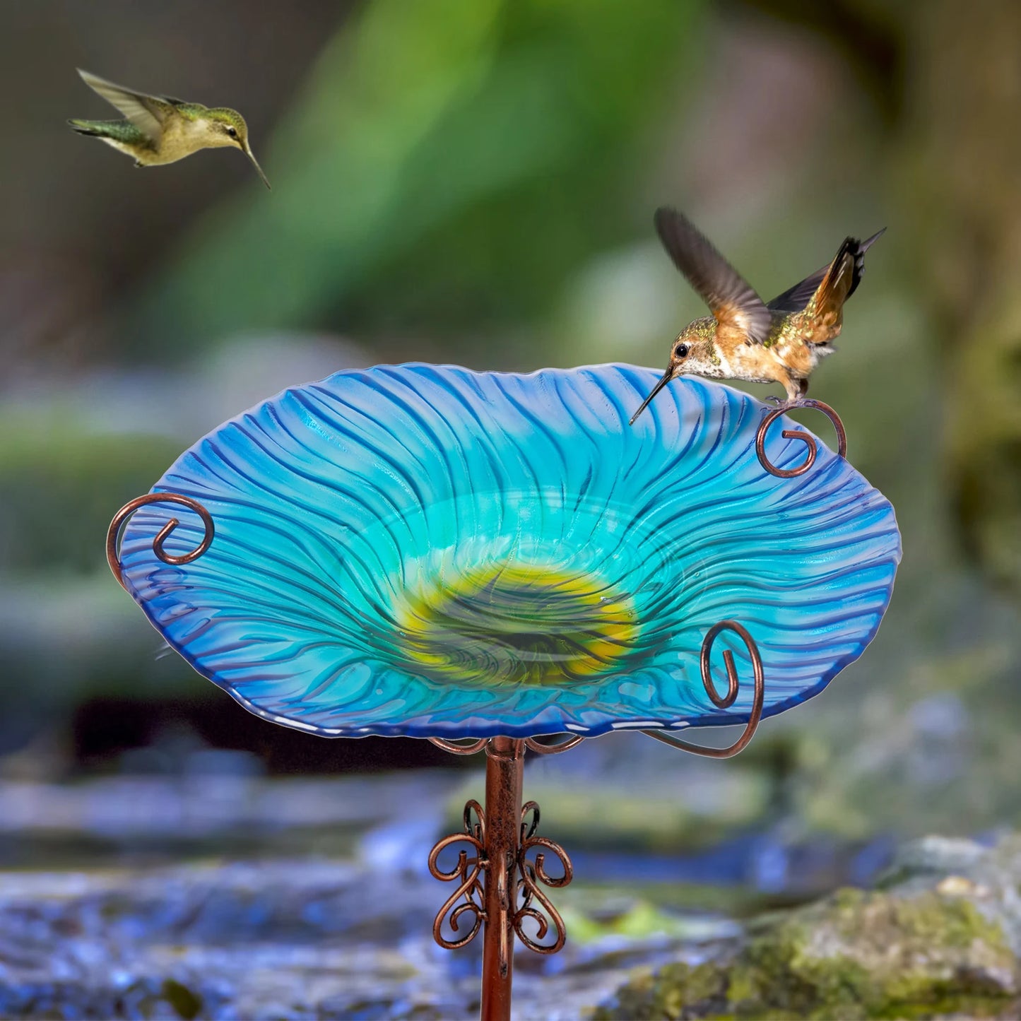 Bird Bath Outdoor