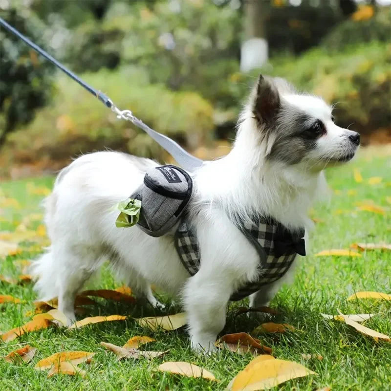 Pet Dog Training Treat Bag