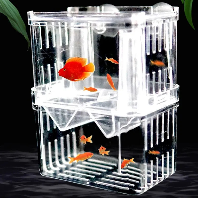 Double-Deck Clear Fish Breeding Isolation Box