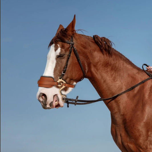 Horse Bit Brown Bridle Leather