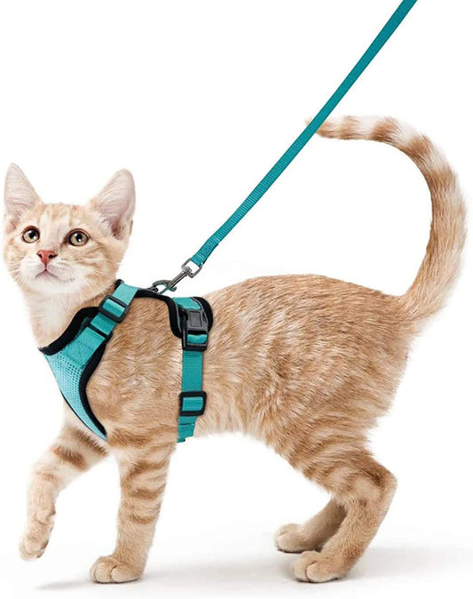 Cat Harness and Leash