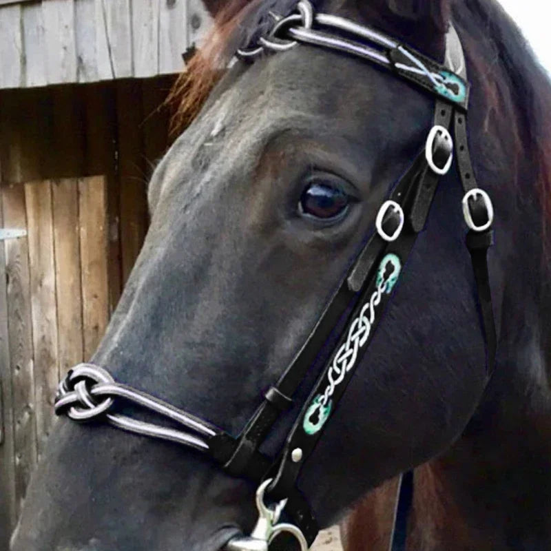 Horse Halters and Lead Ropes