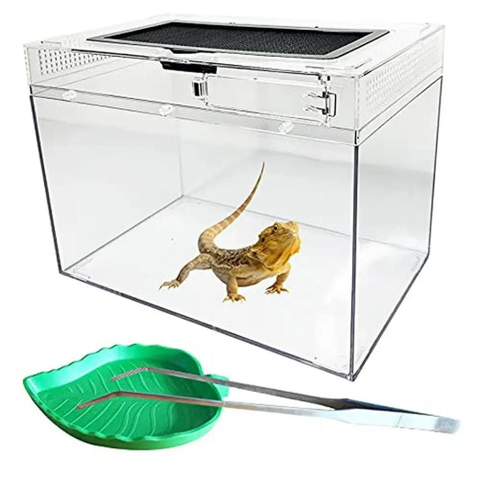 Reptile Tank Enclosure Habitat Terrarium