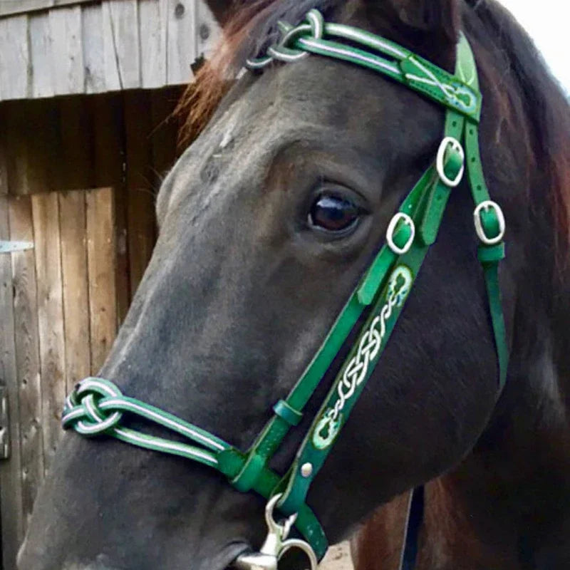 Horse Halters and Lead Ropes