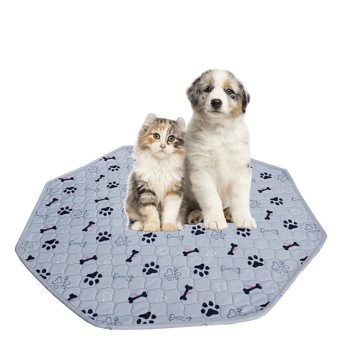 Pet Sleep Play Bed Mat