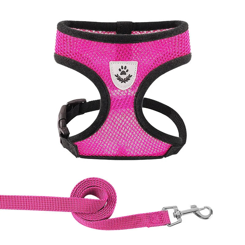 Summer Cat Dog Harness Lead