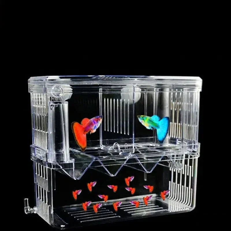 Double-Deck Clear Fish Breeding Isolation Box