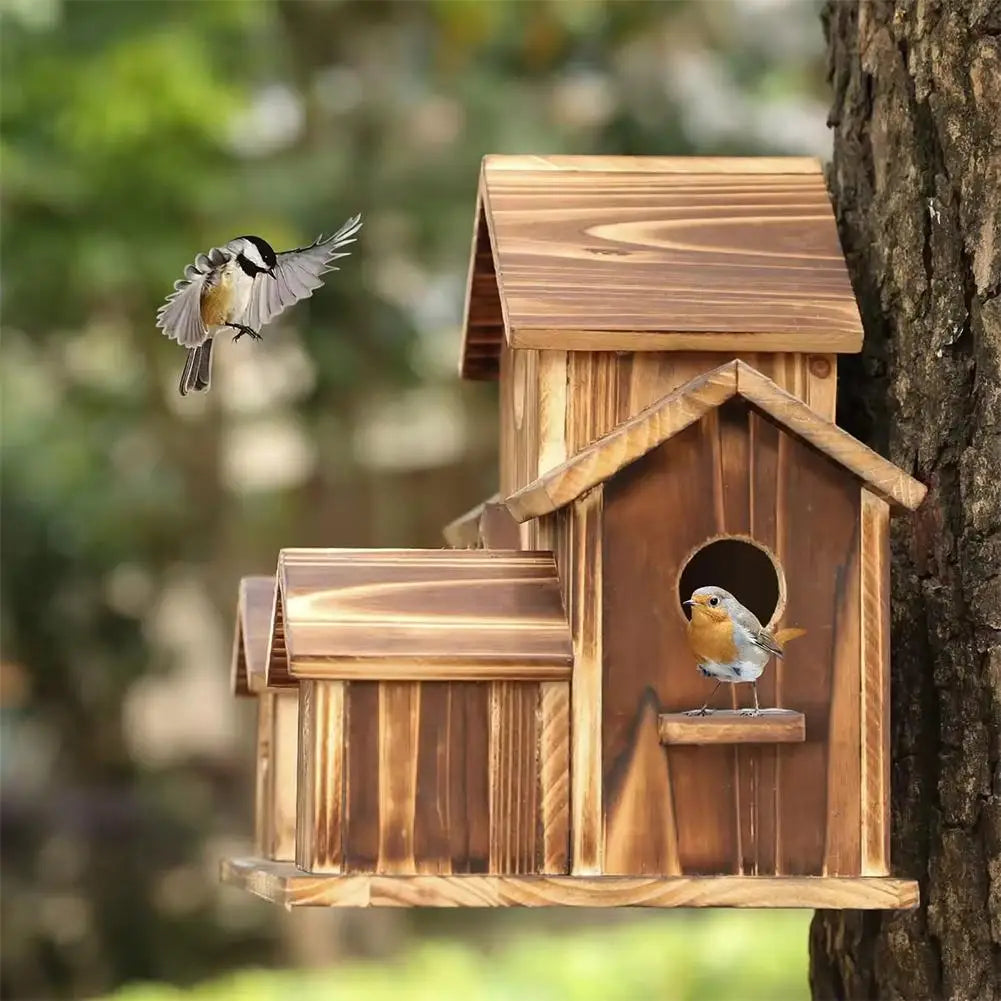 Outside Wooden Bird Nest