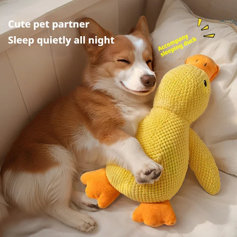 Dog toy plush companion sleeping duck