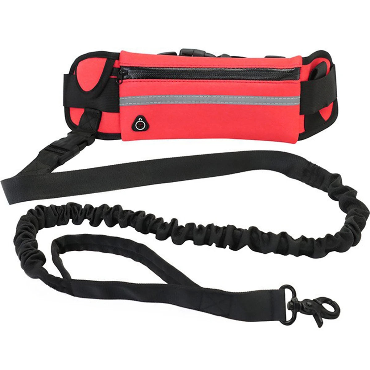 Hands Free Dog Leash for Running