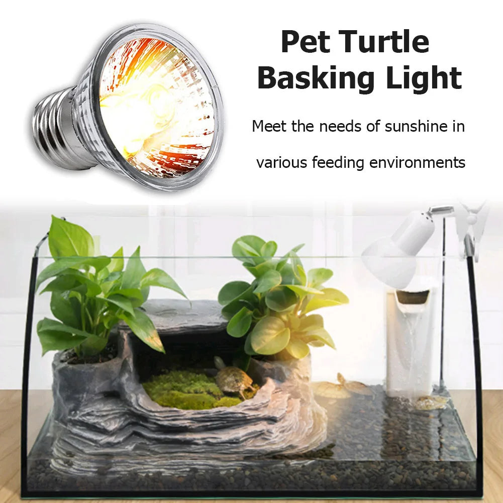 Reptile Lamp