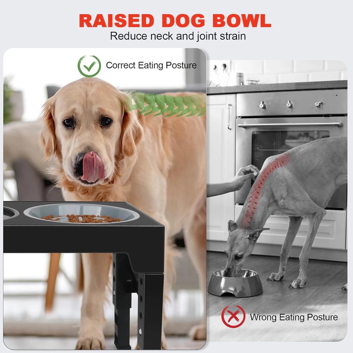 Dog Bowl Holder