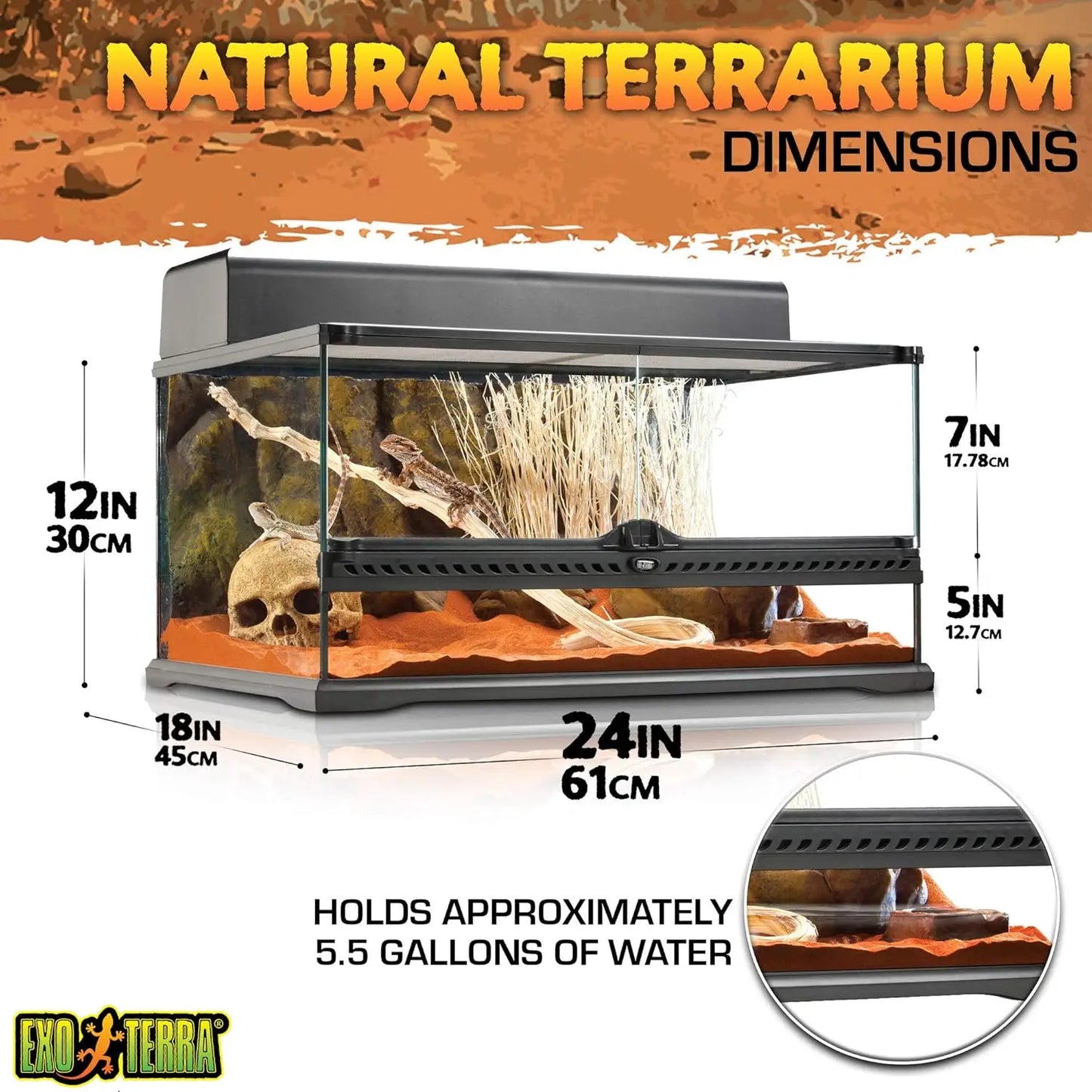 Glass Natural Terrarium Kit