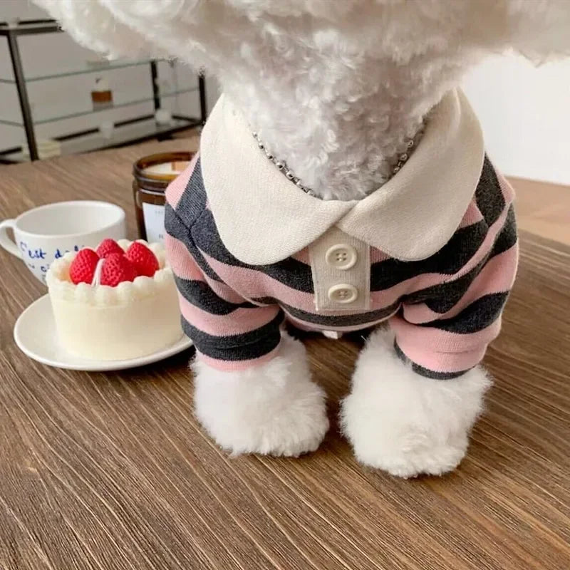 Dog Clothes