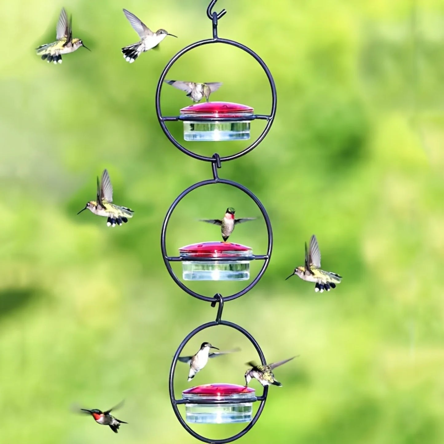 Hanging Hummingbird Feeder,